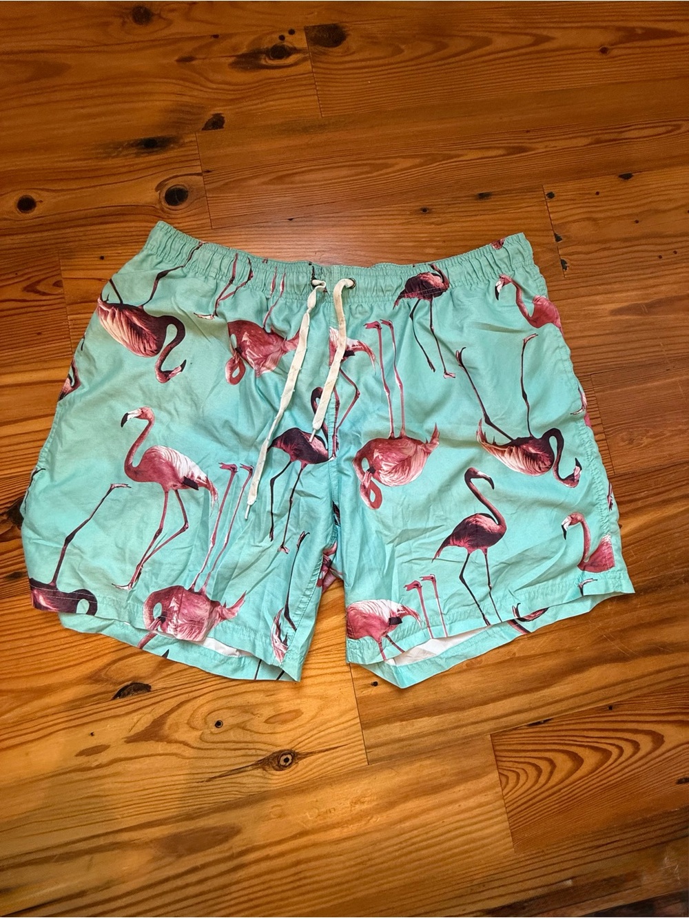 City Streets Mint Green Swim Trunks with Pink Flamingo Print